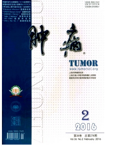 腫瘤醫(yī)學(xué)雜志在論文資料上有什么準(zhǔn)備措施呢