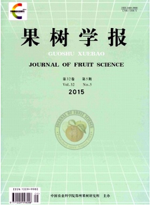 對(duì)獼猴桃產(chǎn)業(yè)新改革發(fā)展研究