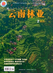 云南林業雜志征稿范圍