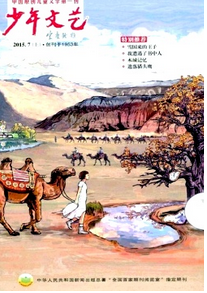 刊號有幾種形式呢