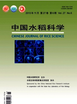 土壤性質(zhì)對(duì)水稻種植有何影響