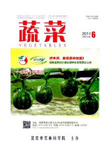 蔬菜中新科技栽培技術(shù)應(yīng)用