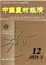 中國(guó)農(nóng)村經(jīng)濟(jì)雜志經(jīng)濟(jì)論文發(fā)表要求及范例有哪些