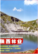 縣區(qū)林業(yè)新科技發(fā)展戰(zhàn)略