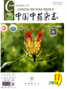 五子雙母丸治療新技巧發(fā)展措施