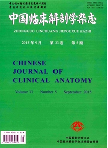中國臨床解剖學(xué)雜志征稿格式