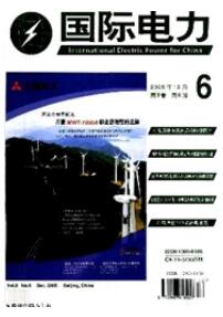 國際電力