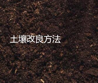 土壤改良方法能不能申請(qǐng)發(fā)明專利