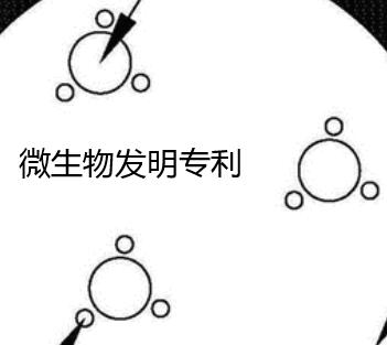 微生物發明專利如何申請