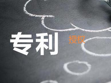 專利授權(quán)