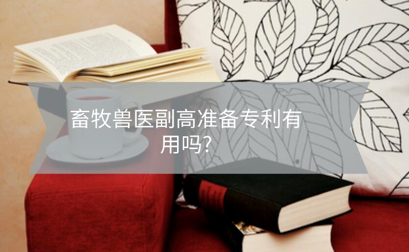 畜牧獸醫(yī)副高準(zhǔn)備專利有用嗎?