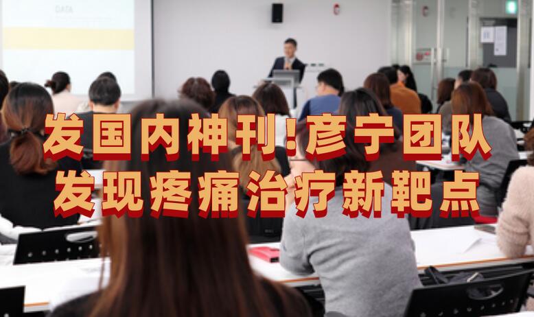 發國內神刊!彥寧團隊發現疼痛治療新靶點