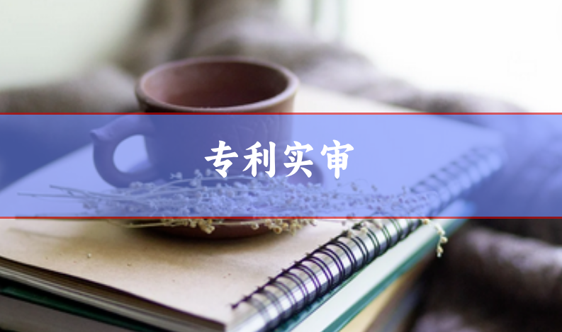 專利實審
