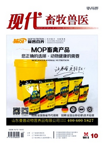 現代畜牧獸醫