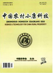 中國農村小康科技