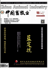 中國(guó)畜牧業(yè)