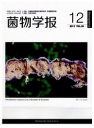 菌物學報