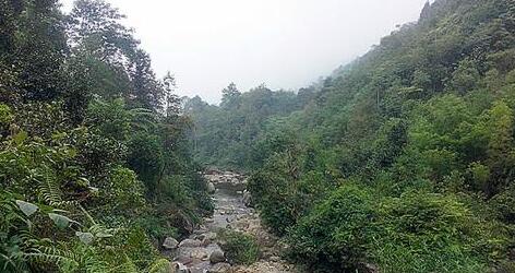林業(yè)工程師論文