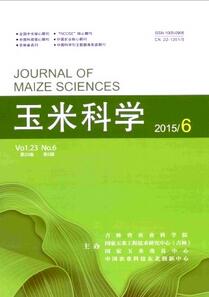 玉米科學