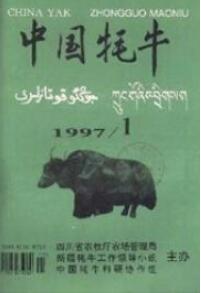 中國耗牛