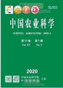 新時(shí)代農(nóng)業(yè)適度規(guī)模經(jīng)營的現(xiàn)實(shí)問題與化解路徑