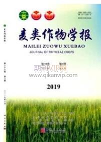 統(tǒng)計論文發(fā)表