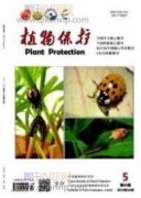 紫云英高效栽培技術