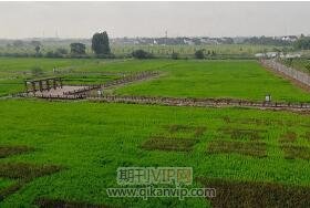 環(huán)境監(jiān)測(cè)論文