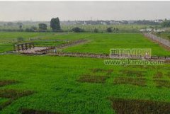 農(nóng)業(yè)技術(shù)進(jìn)步對(duì)農(nóng)民增收的影響機(jī)理分析