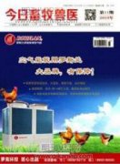 育肥豬飼養(yǎng)方法及其疾病防控管理