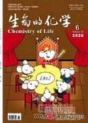 植物根際微生物研究進(jìn)展