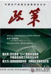 政策研究論文