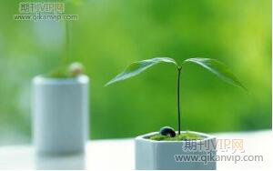 生物教學論文