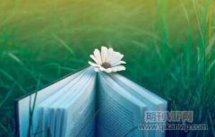 川西林盤景觀形態(tài)與林盤文化的關(guān)聯(lián)研究