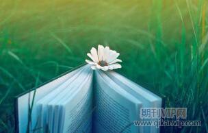 農業種植論文