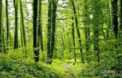 城鄉(xiāng)融合背景下的農技推廣融合發(fā)展研究