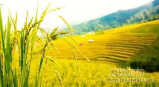 滑坡體穩(wěn)定性論文