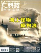 線性方程組的應用研究