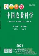 套種甘薯對蔗田草害及產量的影響