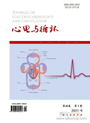 心電與循環(huán)